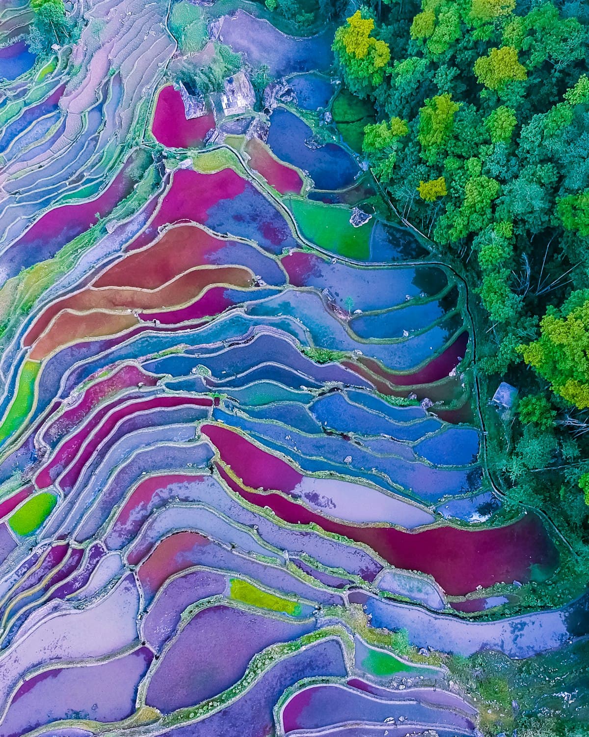 Yunnan's Ancient Tea Horse Road: A Forgotten Luxury Route